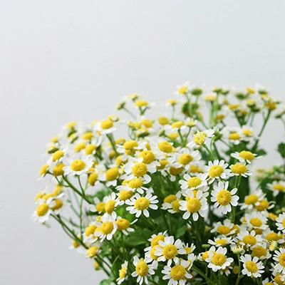 掌控你的网络命脉：Clash节点调节终极指南